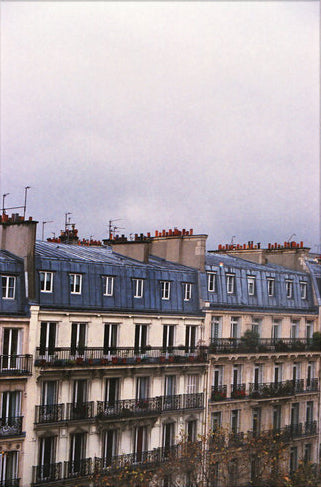 Paris Rooftops 1