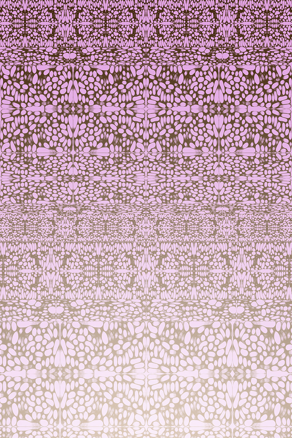 La Creme Sur Blanc 3