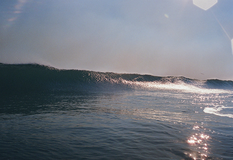 Golden Reflections 1