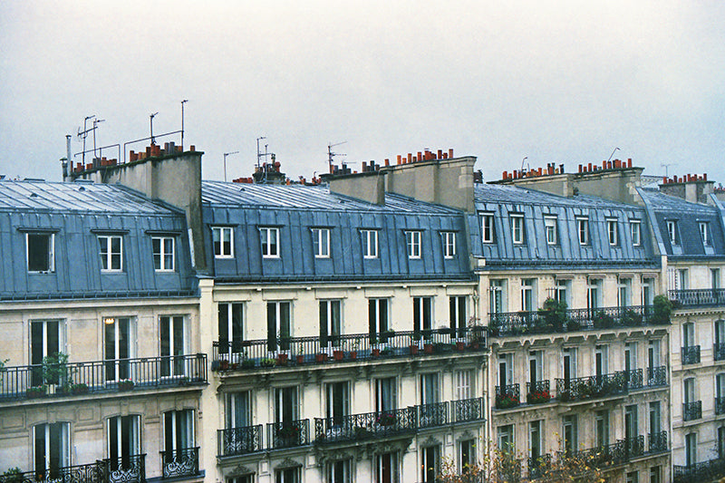 Paris Rooftops 2
