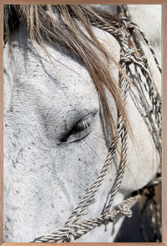 Bohemian Bridle 1