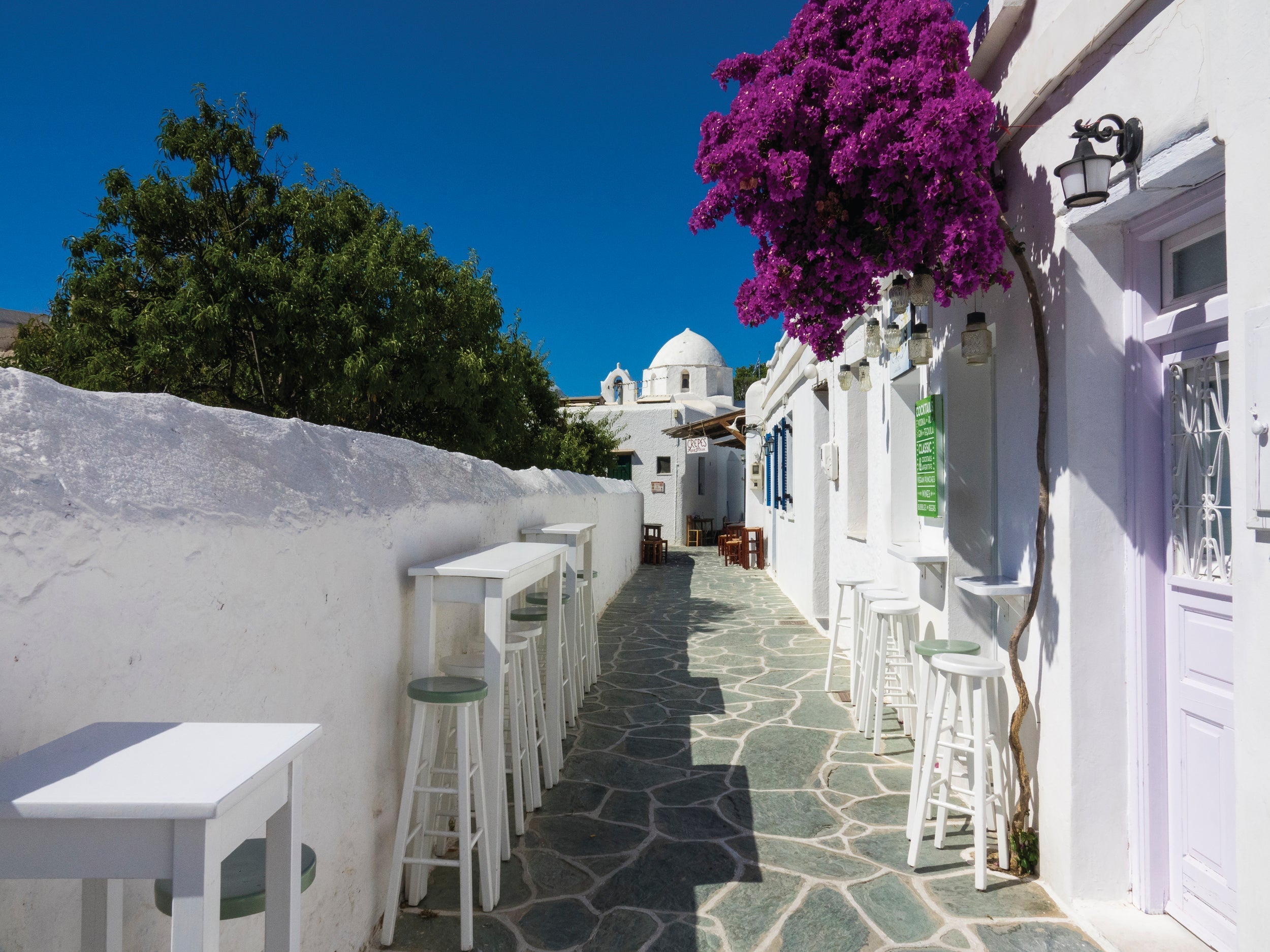 Bougainvillea with Sky