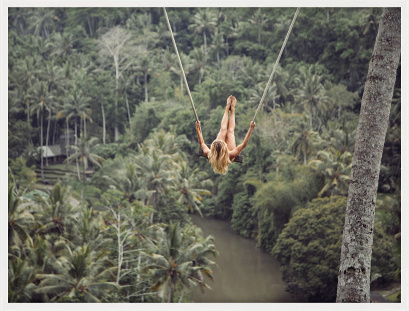 Jungle Swing