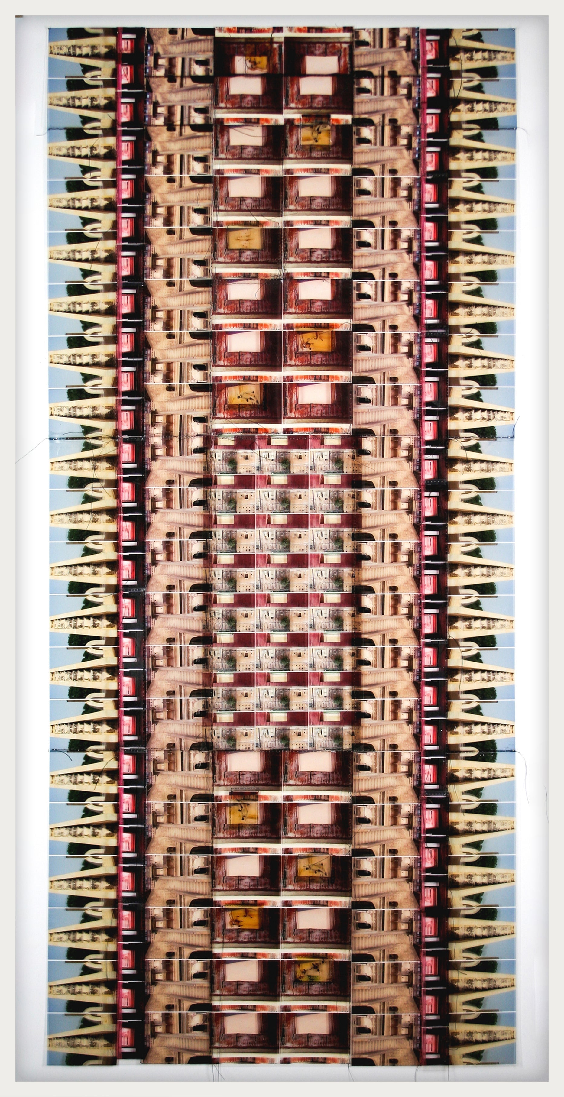 Monkey See Monkey Do