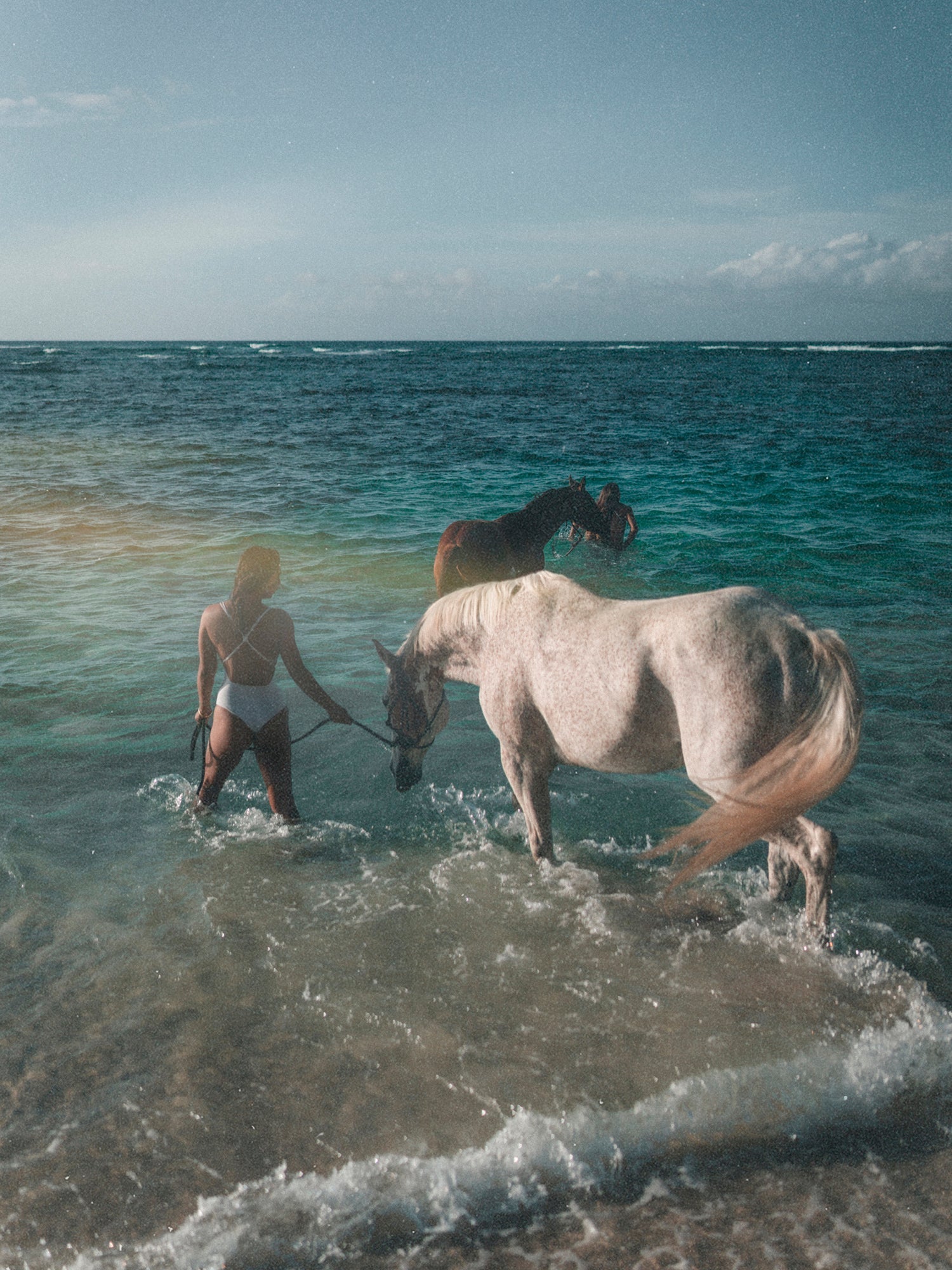 Ocean Horses