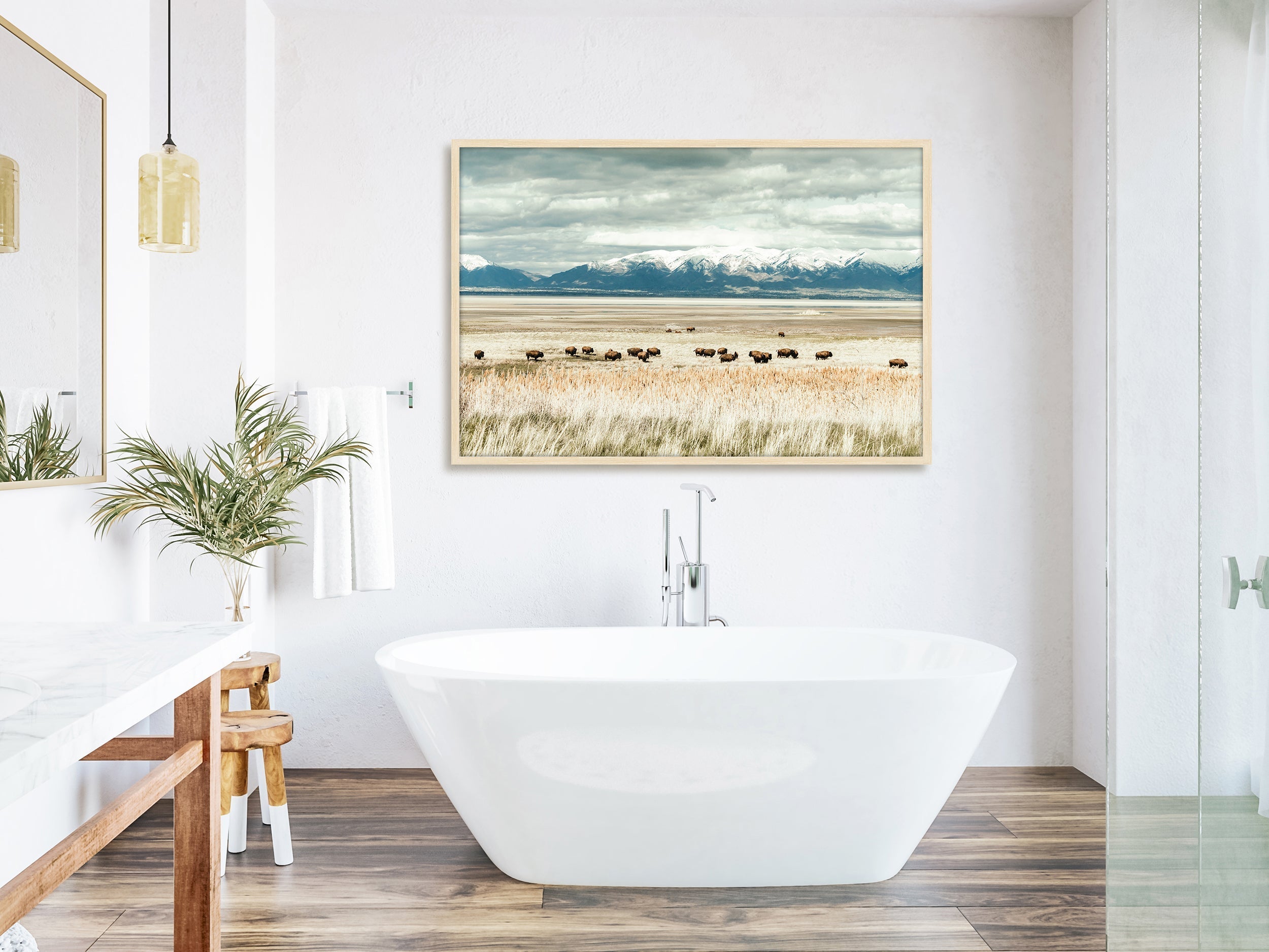 Antelope Island Herd