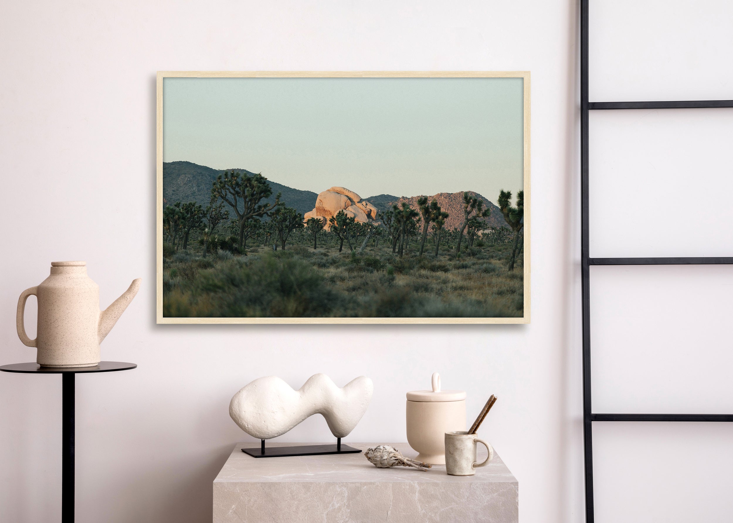 Joshua Tree Last Light