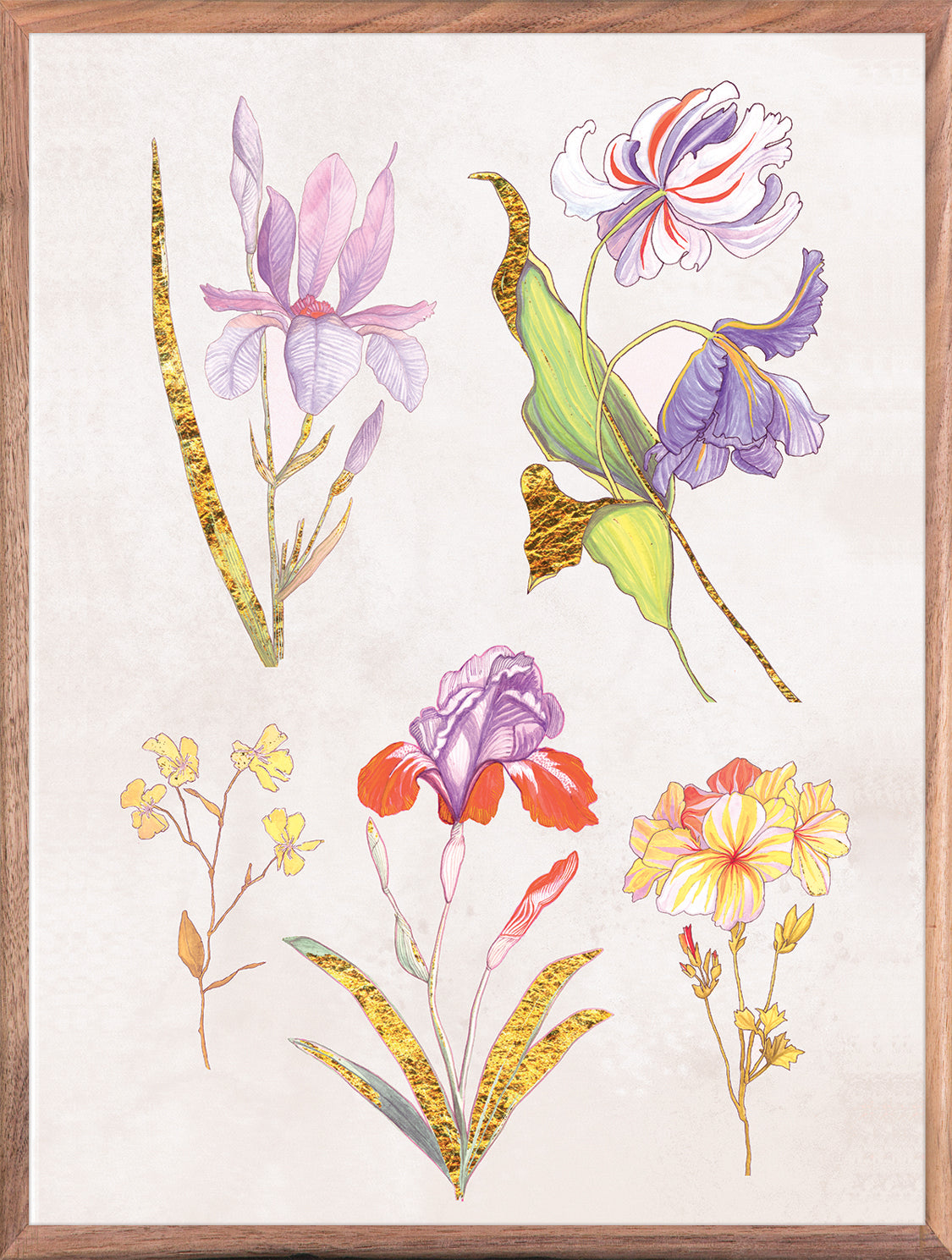 Ars Florae 1 Lavender