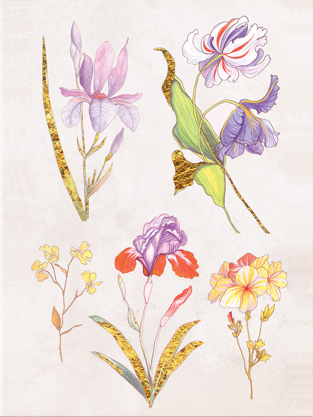 Ars Florae 1 Lavender