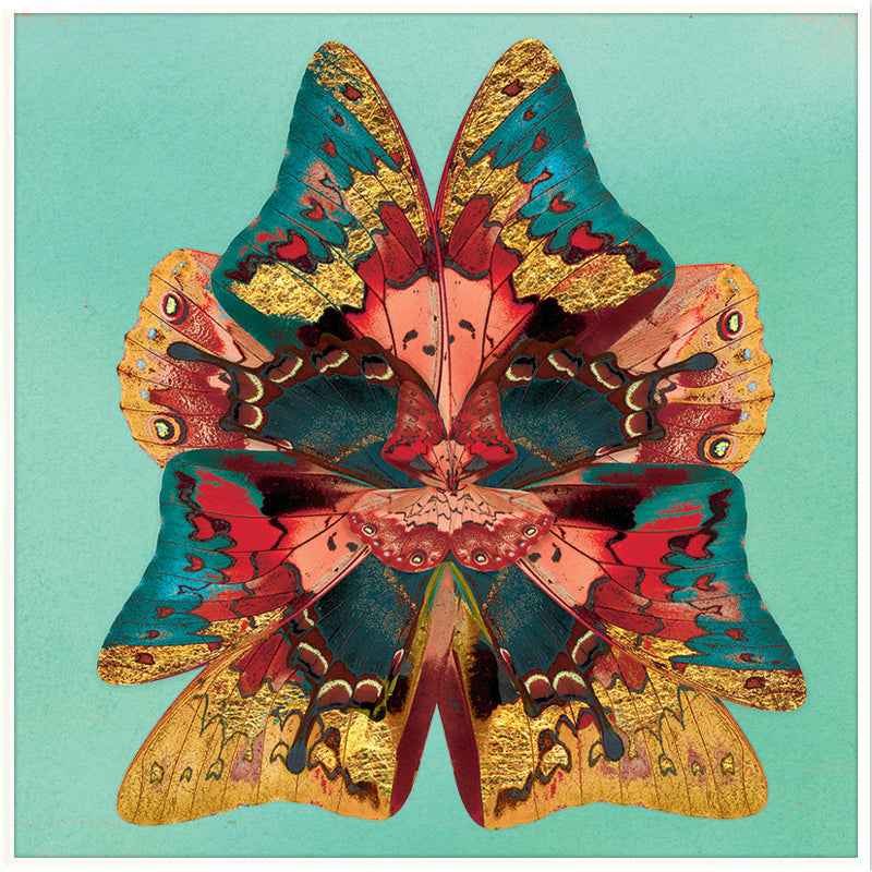 Dusk Wings: Teal Splash