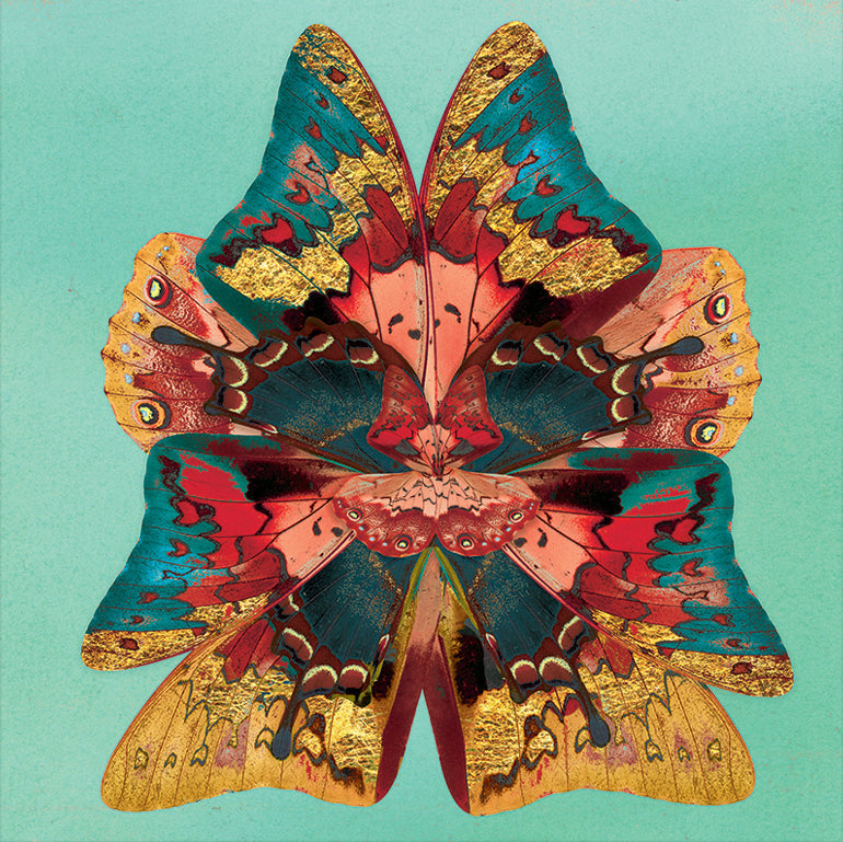 Dusk Wings: Teal Splash