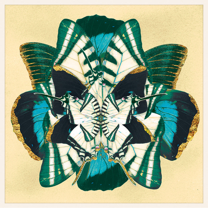 Winter Wings: Past Life