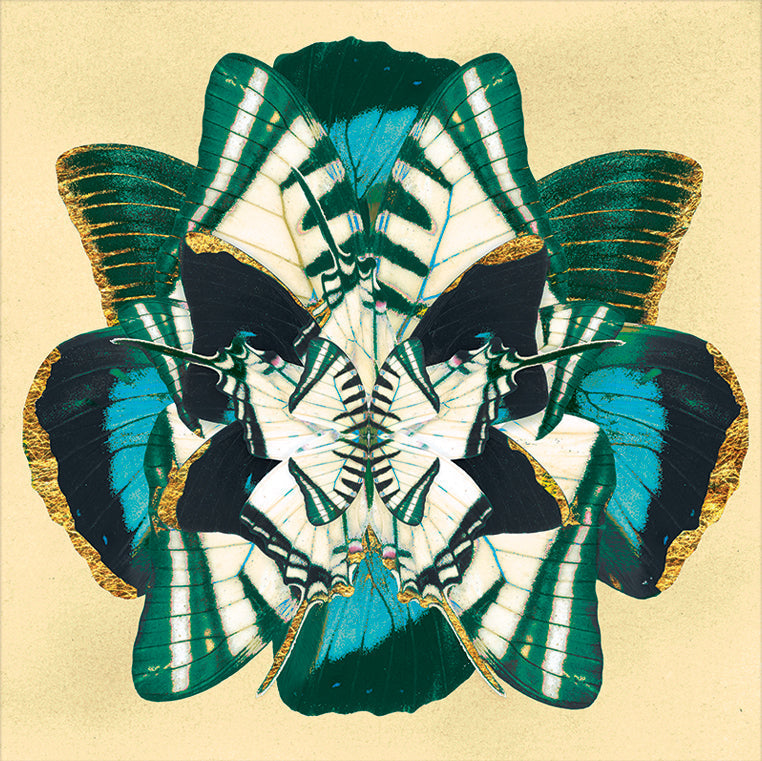 Winter Wings: Past Life