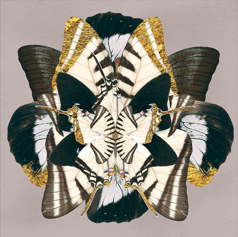 Winter Wings: Slate Rust