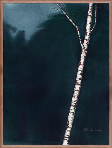 Birch 3