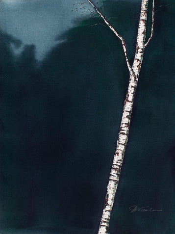 Birch 3