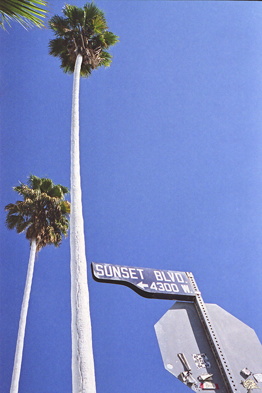 Sunset Boulevard