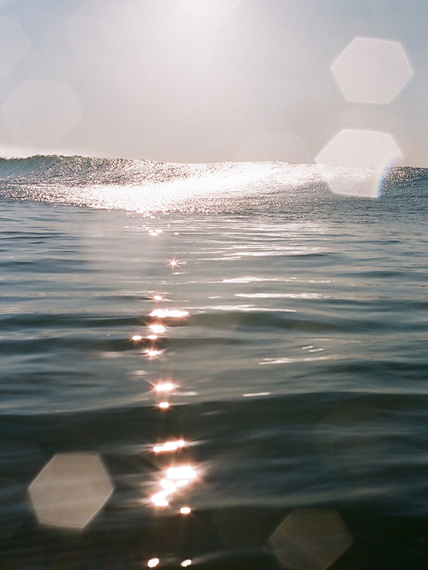 Golden Reflections 4