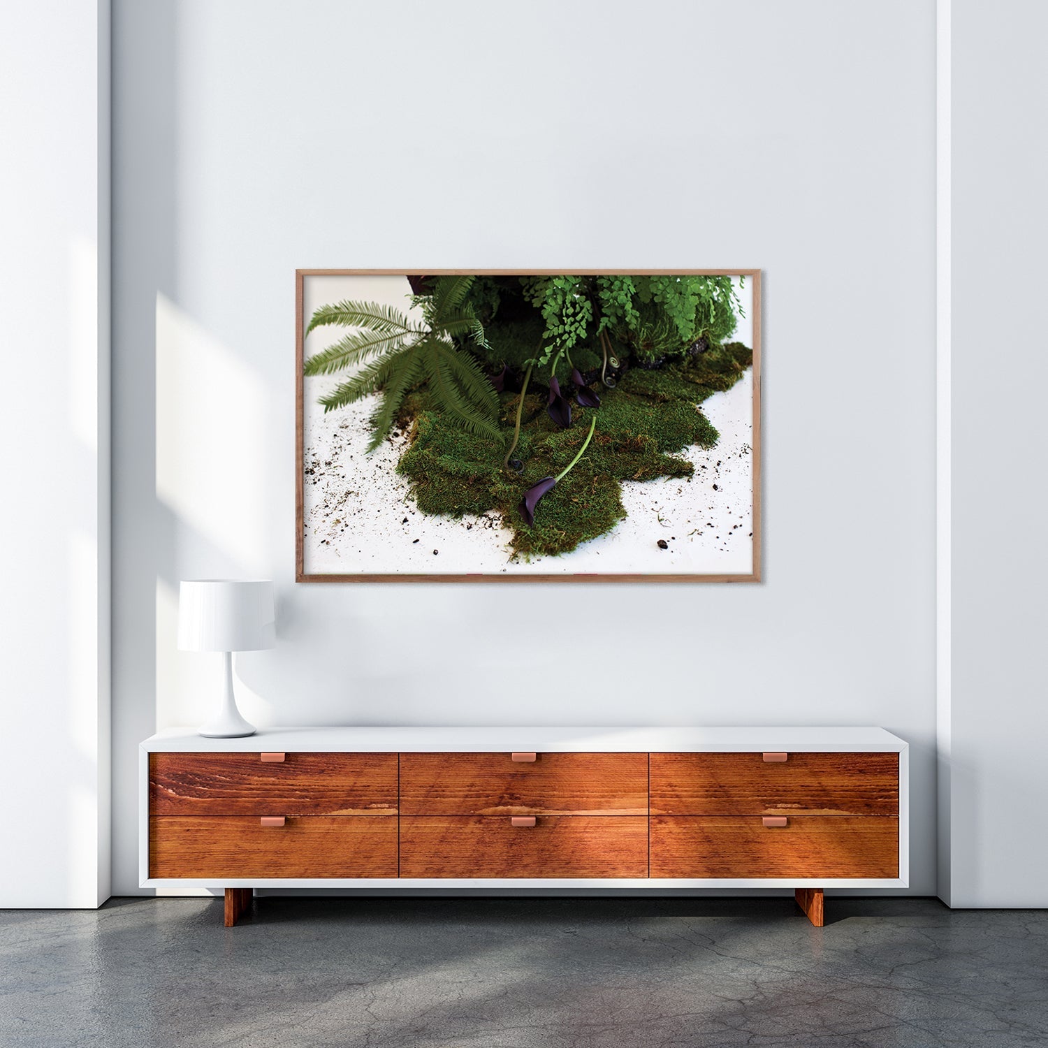 Still Life With Moss