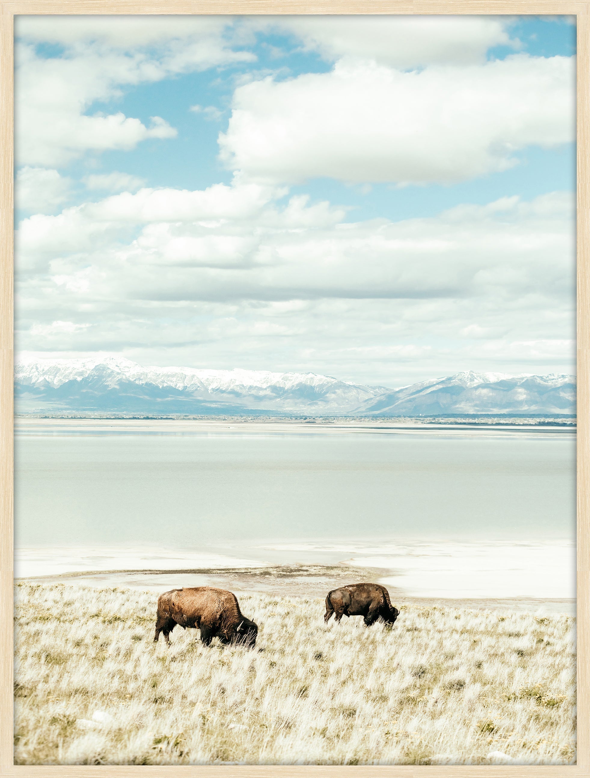 Antelope Island Brothers