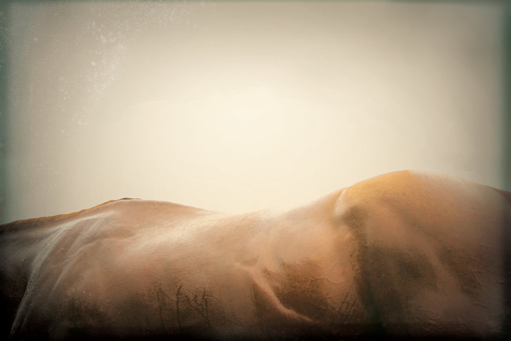 Antique California Chrome 2