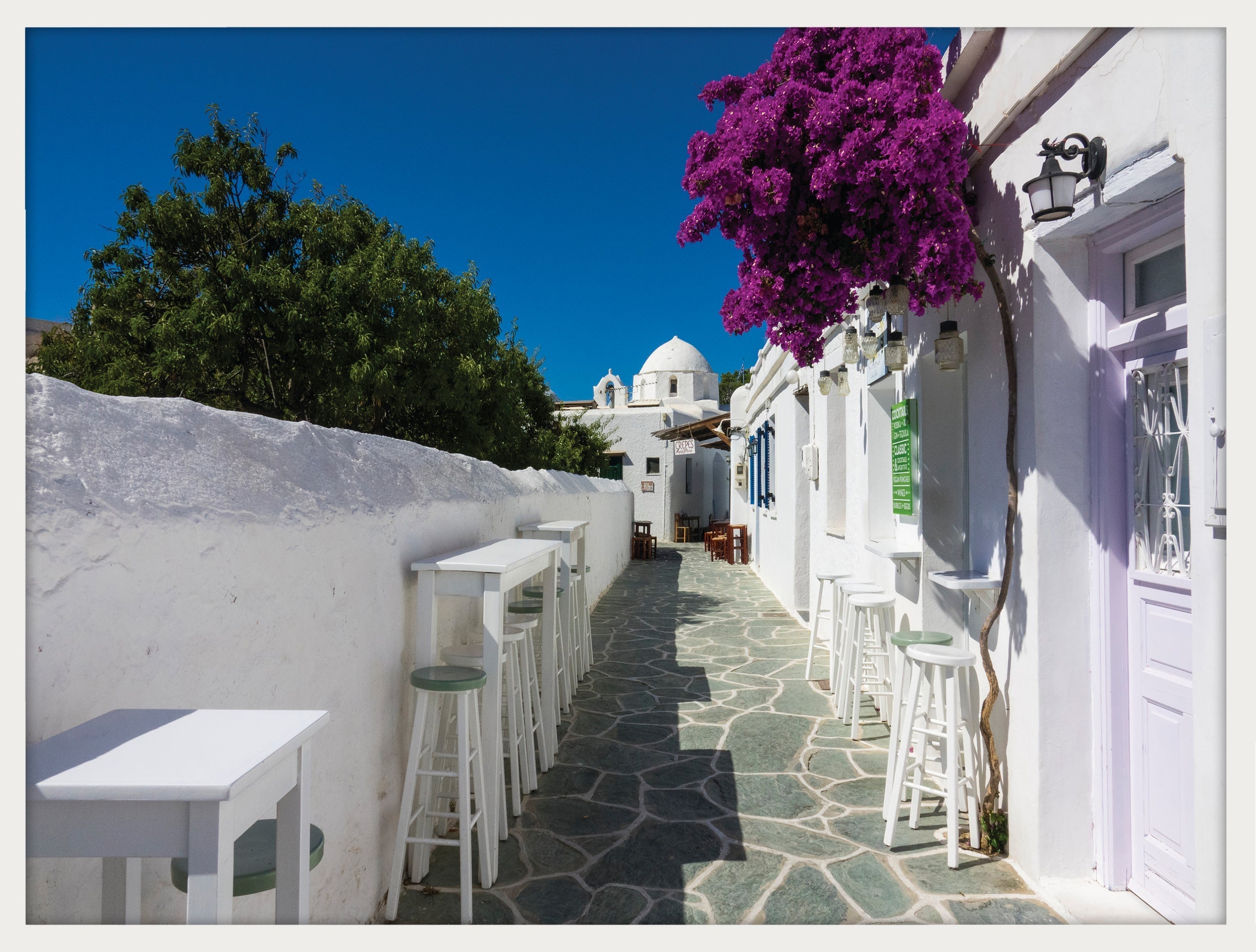 Bougainvillea with Sky