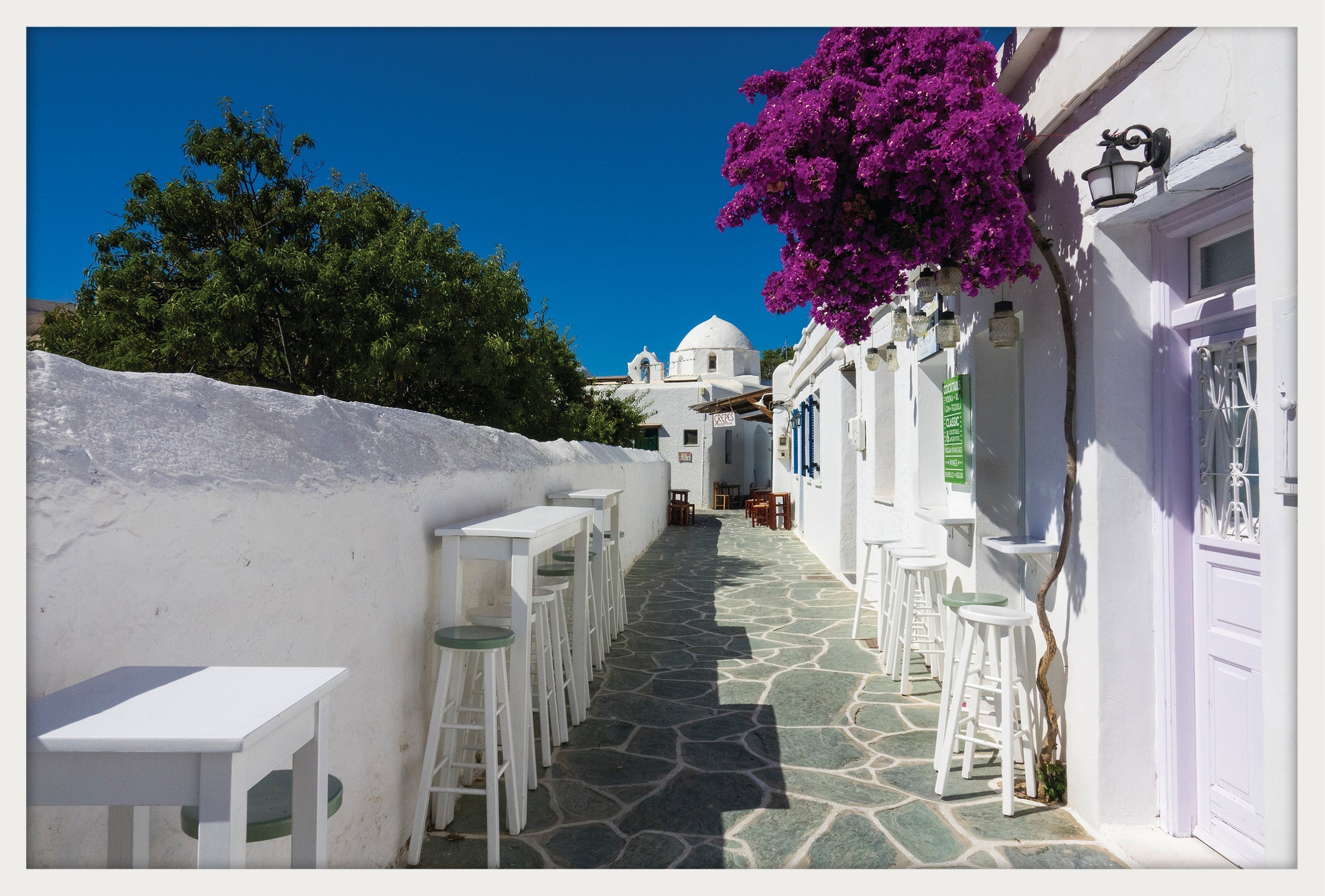 Bougainvillea with Sky