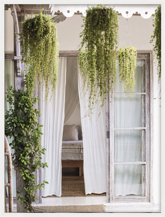 Draped Plants