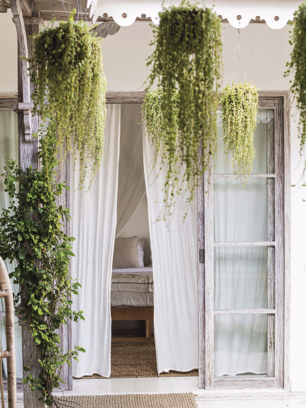 Draped Plants