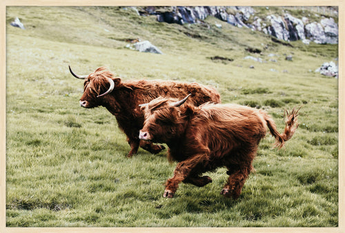 Cobalts, Indigos, and Skies