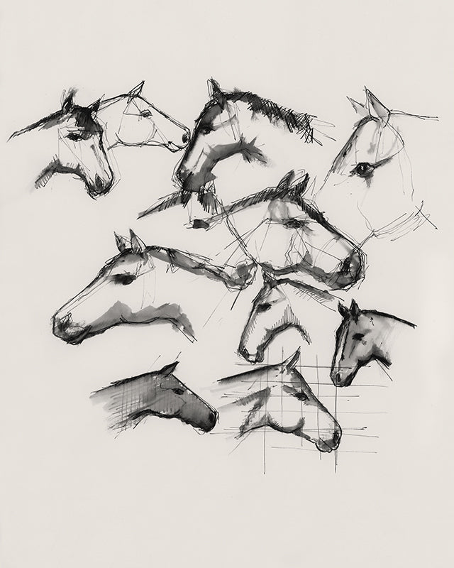 Horse 20