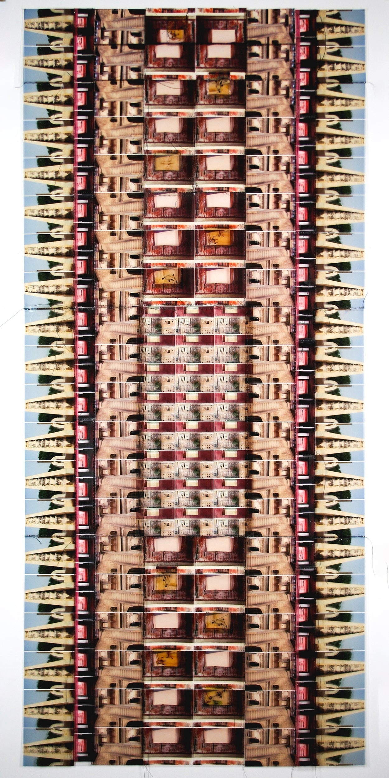 Monkey See Monkey Do