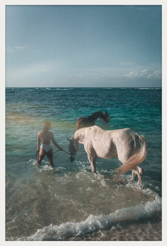 Ocean Horses