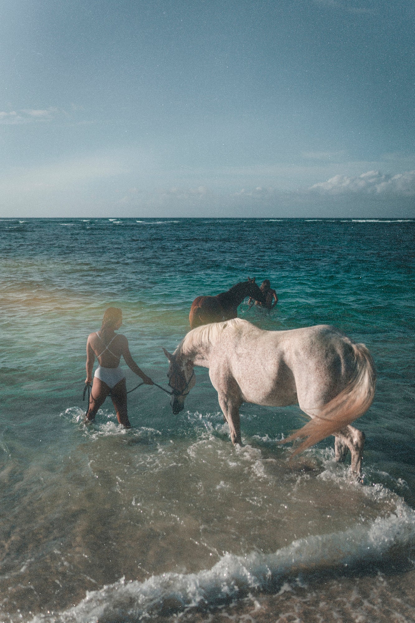 Ocean Horses