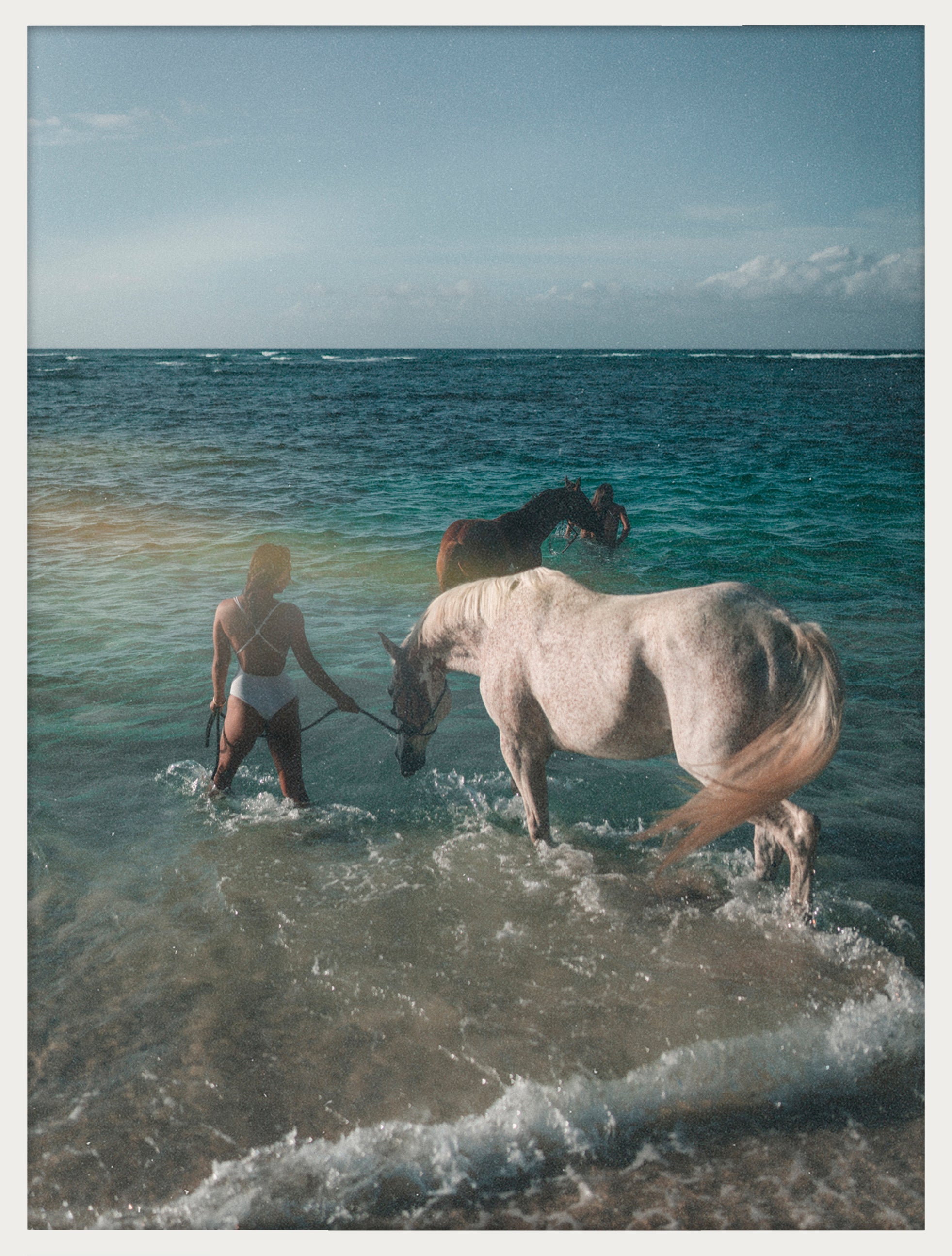 Ocean Horses