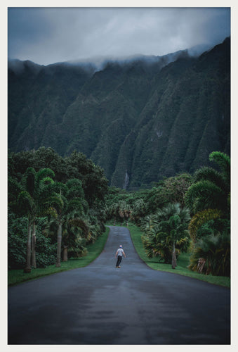 Skater In Paradise