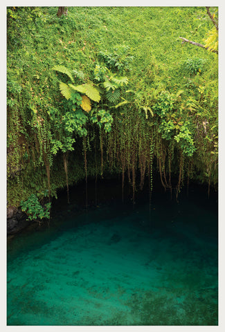 Swimming Hole