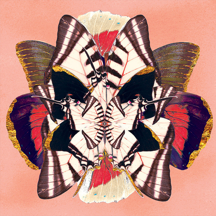 Winter Wings: Tropical Punch