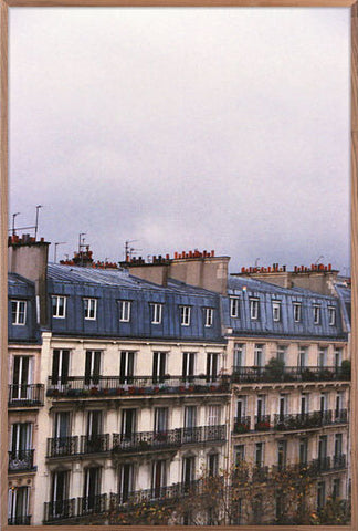 Paris Rooftops 1