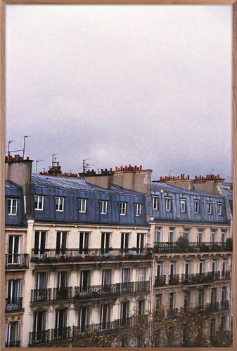 Paris Rooftops 1