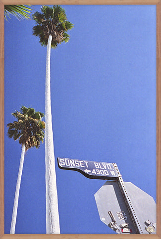 Sunset Boulevard