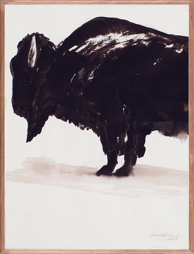 Bison