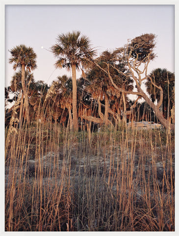 Edisto