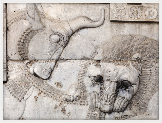 Persepolis Lion